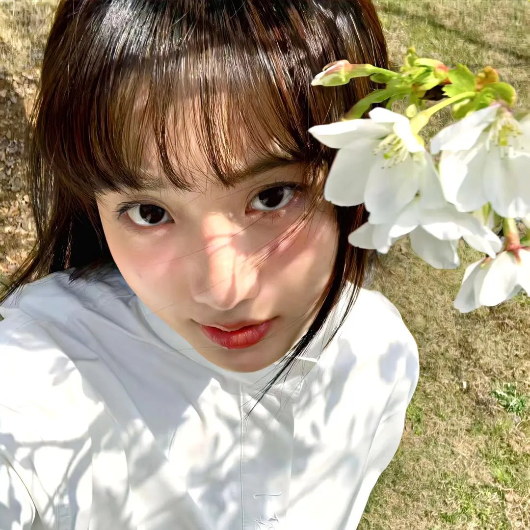 神探飞机头